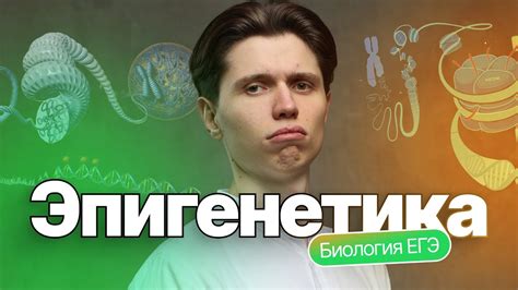 Эпигенетика и изменчивость запоминания