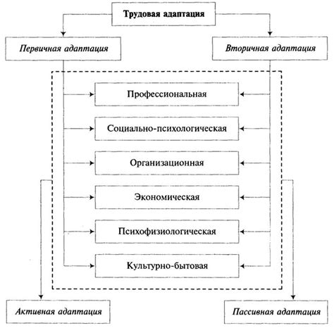 Этапы адаптации и сновидения об административных вопросах