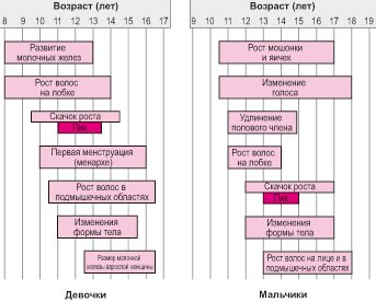 Этапы полового созревания у подростков