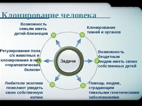 Этические аспекты клонирования человека