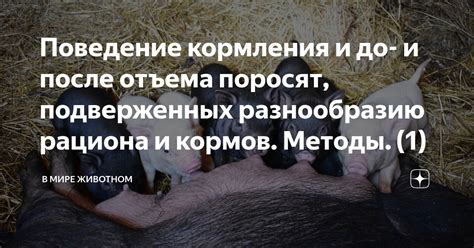 Эффективные методы реабилитации поросят