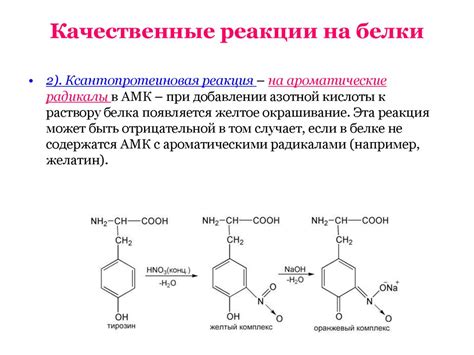 Эффекты синтетических веществ на белки