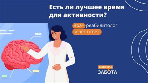 Эффекты физической активности на память и внимание