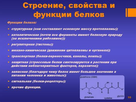 Яичные белки: особенности и свойства