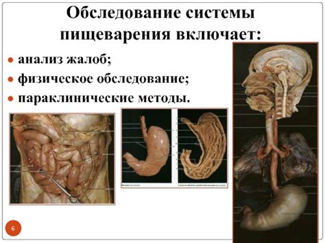  Анализ жалоб и физическое обследование 