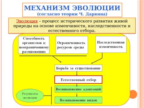  Важность понимания наследственности и естественного отбора в современной биологии 