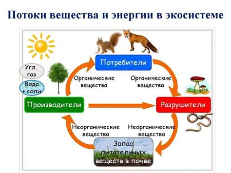  Влияние вещества и энергии на информацию 