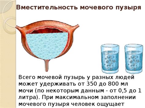  Вместительность 