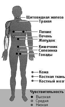  Возможные последствия для органов и тканей