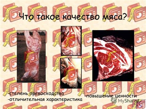  Повышение пищеваримой ценности мяса 