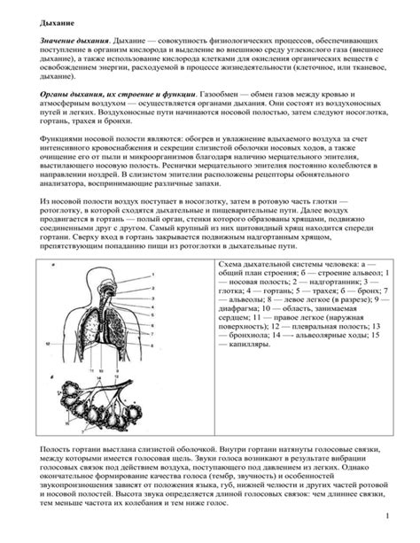  Погружение во внешнюю среду 