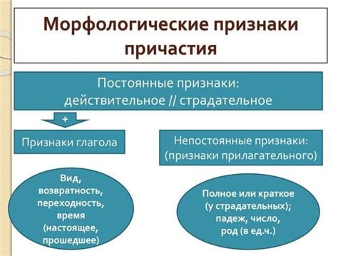  Признаки причастия краткого 