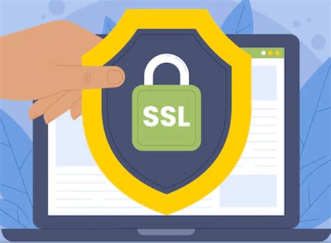  Проверка домена и SSL-сертификата 