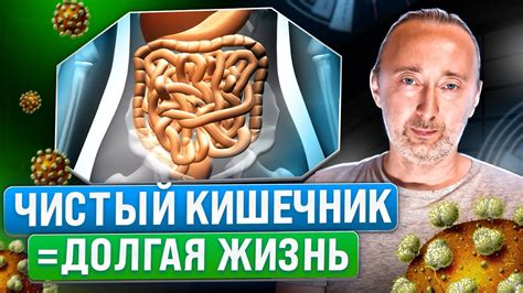  Ускорение выведения шлаков и токсинов 