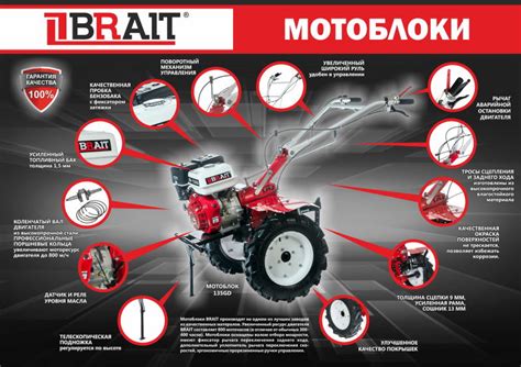 Brait – история и особенности компании