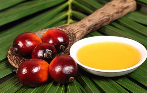 Elaeis guineensis oil в косметических средствах