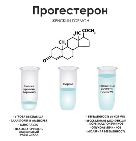 Shbg гормон: определение и значение