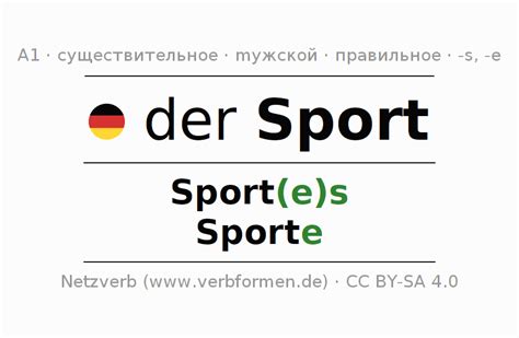 Sports: множественное число, множество видов