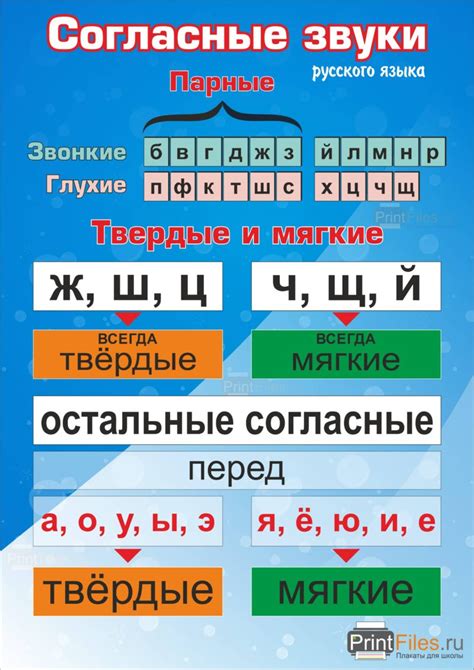 s в изучении согласных и гласных звуков в словах